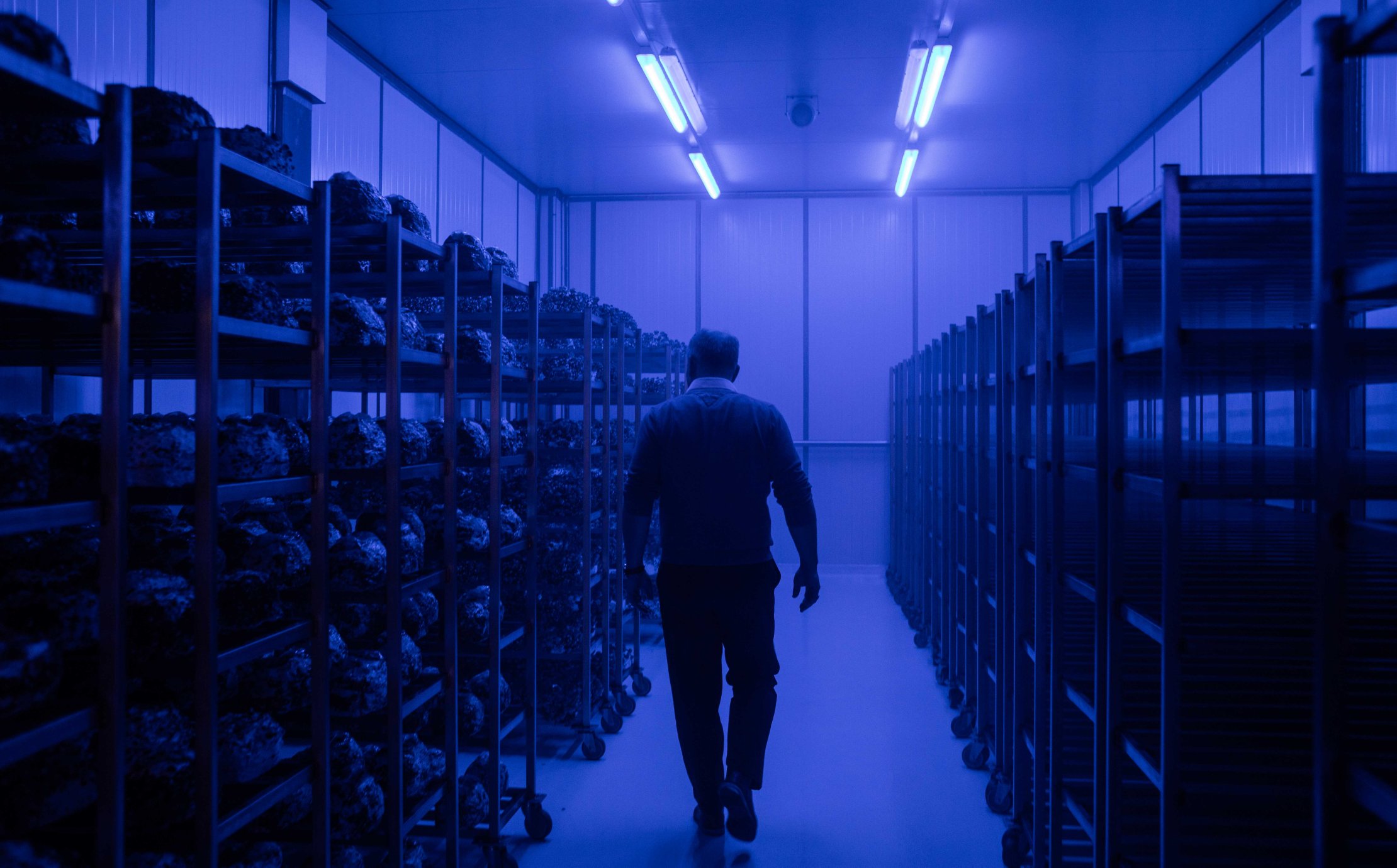 Ein Mann geht durch einen in blaues Licht getauchten Produktionsraum beim Profond Kunden Kernser Edelpilze